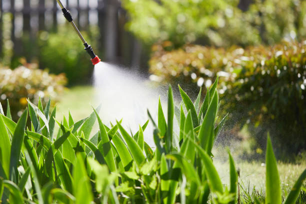 24/7 Emergency Mosquito Control experts in Berry Hill, TN